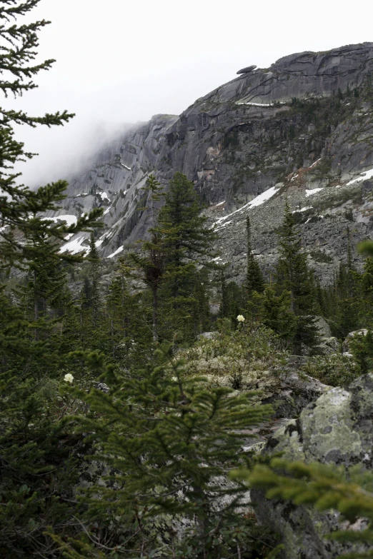 a mountain with trees and rocks in the foreground, slight overcast weather, wind river valley, intricate environment - n 9, where a large