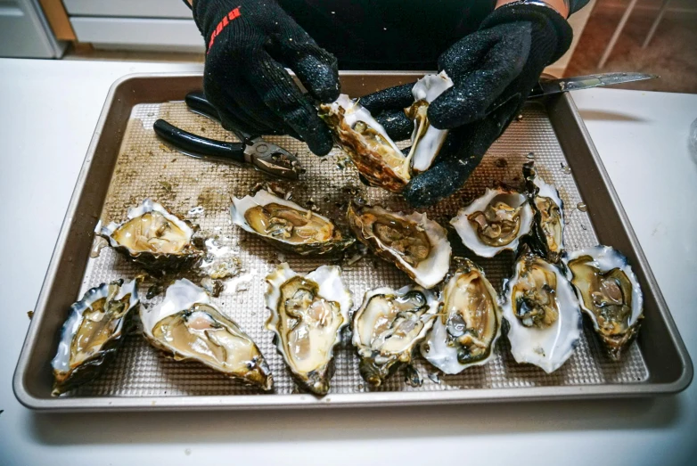 a person holding a knife in front of a tray of oysters, album photo, 🎀 🗡 🍓 🧚, 278122496, te pae