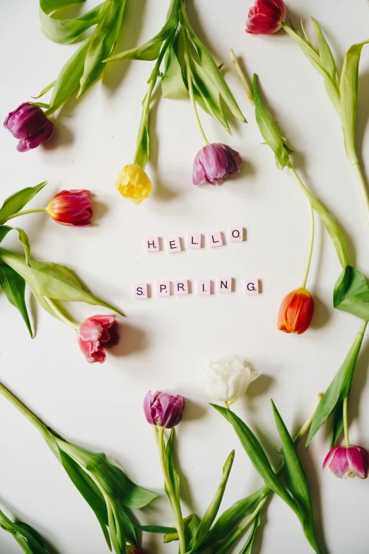a white plate topped with lots of flowers, trending on unsplash, happening, korean typography, tulips, hello, 3 spring deities