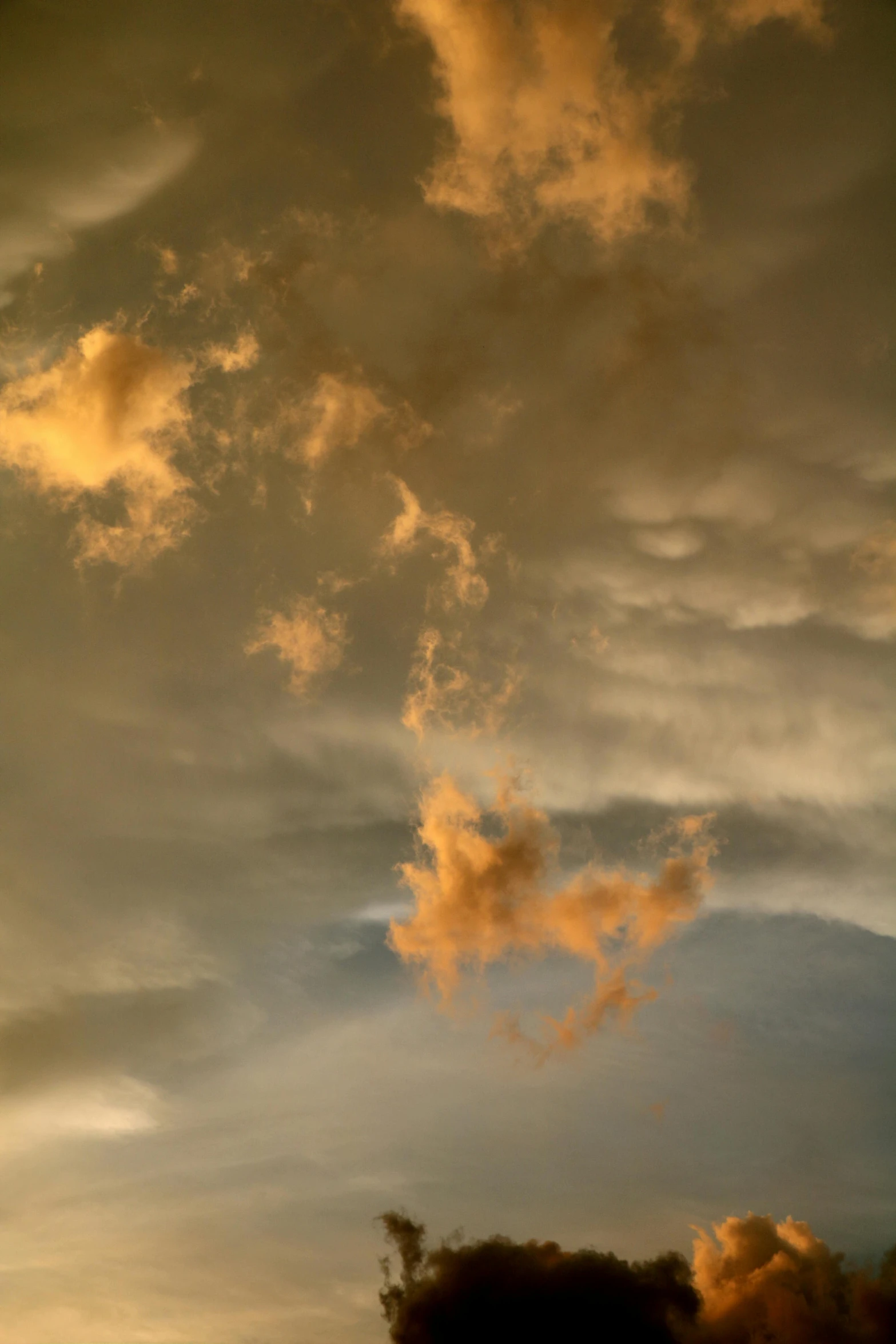 a couple of cows standing on top of a lush green field, inspired by Kim Keever, romanticism, orange clouds, abstract photography, dramatic lighting - n 9, golden clouds