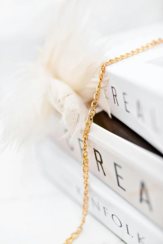 a stack of books sitting on top of each other, an album cover, inspired by Karl Buesgen, trending on pexels, gold necklace, white feathers, detail shot, ultrafine detail