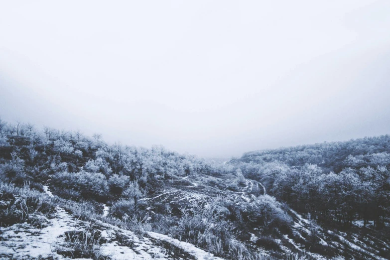 a person standing on top of a snow covered hill, a black and white photo, inspired by Elsa Bleda, romanticism, pale blue fog, instagram post, an overgrown forest, hillside