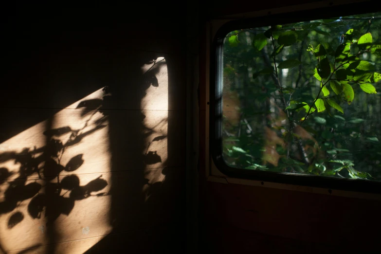 the sun shines through the window of a train car, inspired by Elsa Bleda, shadows from trees, ignant, in a tree house, experimental studio light