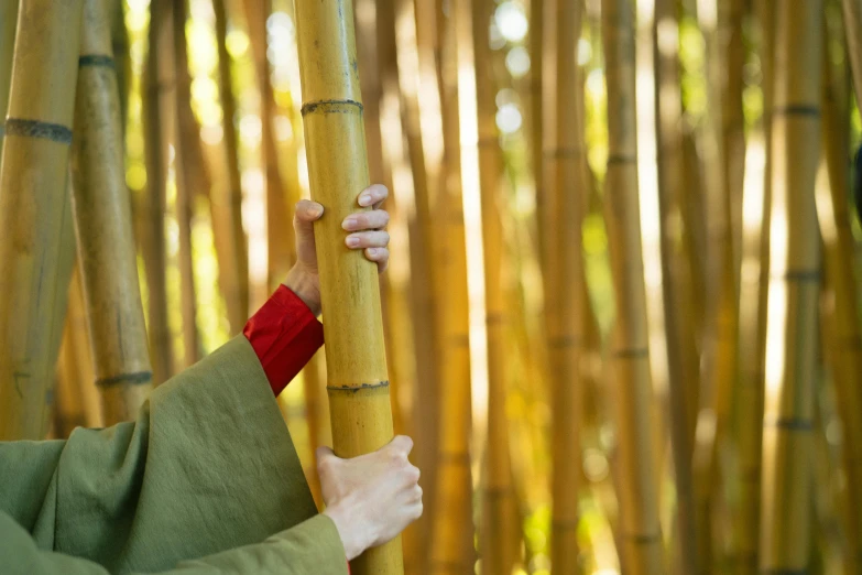 a close up of a person holding a bamboo pole, an album cover, inspired by Kanō Shōsenin, unsplash, zen natural background, sukkot, striking colour, doing a prayer