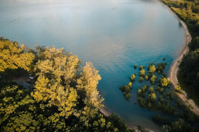 a large body of water surrounded by trees, by Peter Churcher, pexels contest winner, hurufiyya, river delta, soft lighting from above, hd footage, golden hour photo