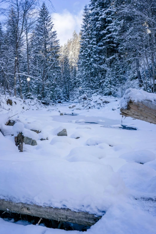 a fire hydrant sitting in the middle of a snow covered forest, les nabis, trees bent over the river, chamonix, today\'s featured photograph 4k, river running past the cottage
