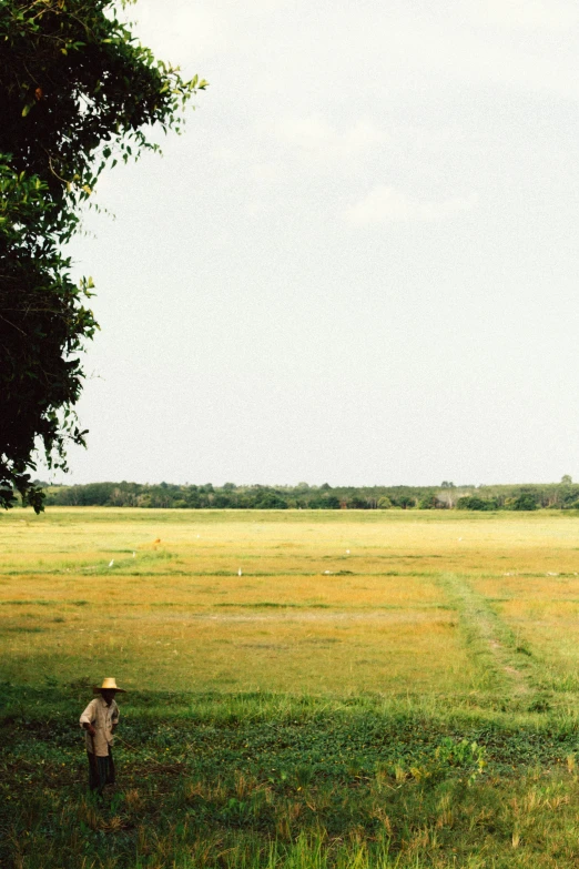 a person standing in a field flying a kite, angkor, panorama distant view, 1999 photograph, rice paddies