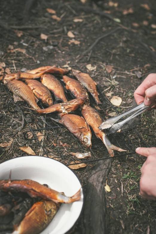 a person holding a knife over a bowl of fish, by Jesper Knudsen, hurufiyya, forest picnic, smoked layered, australian, brown