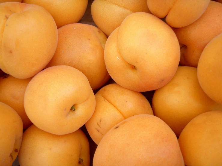 a pile of apricots sitting on top of each other, by Breyten Breytenbach, unsplash, no cropping, yellow, soft, pine