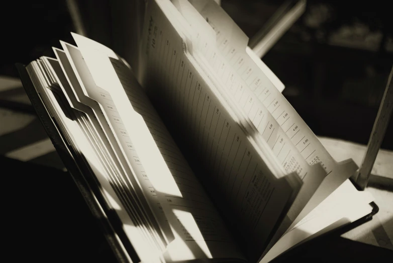 an open book sitting on top of a table, a photocopy, unsplash, softly shadowed, difraction from back light, notes, 2 0 0 0's photo