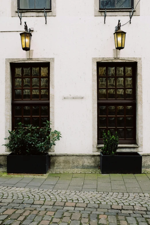 a couple of doors that are on the side of a building, by Jan Tengnagel, unsplash, planters, dark brown white green colours, historical photo, square shapes