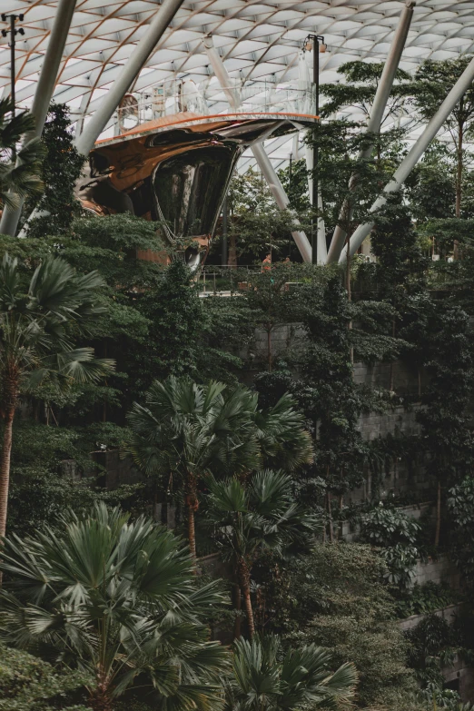 a greenhouse filled with lots of plants and trees, a matte painting, pexels contest winner, sumatraism, inside a brutalist space ship, telephoto shot, ((trees)), panoramic shot