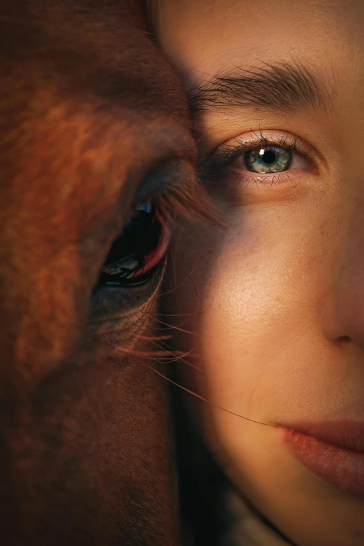 a close up of a person with a horse, human face, 2 animals, soft eyes, light falling on face