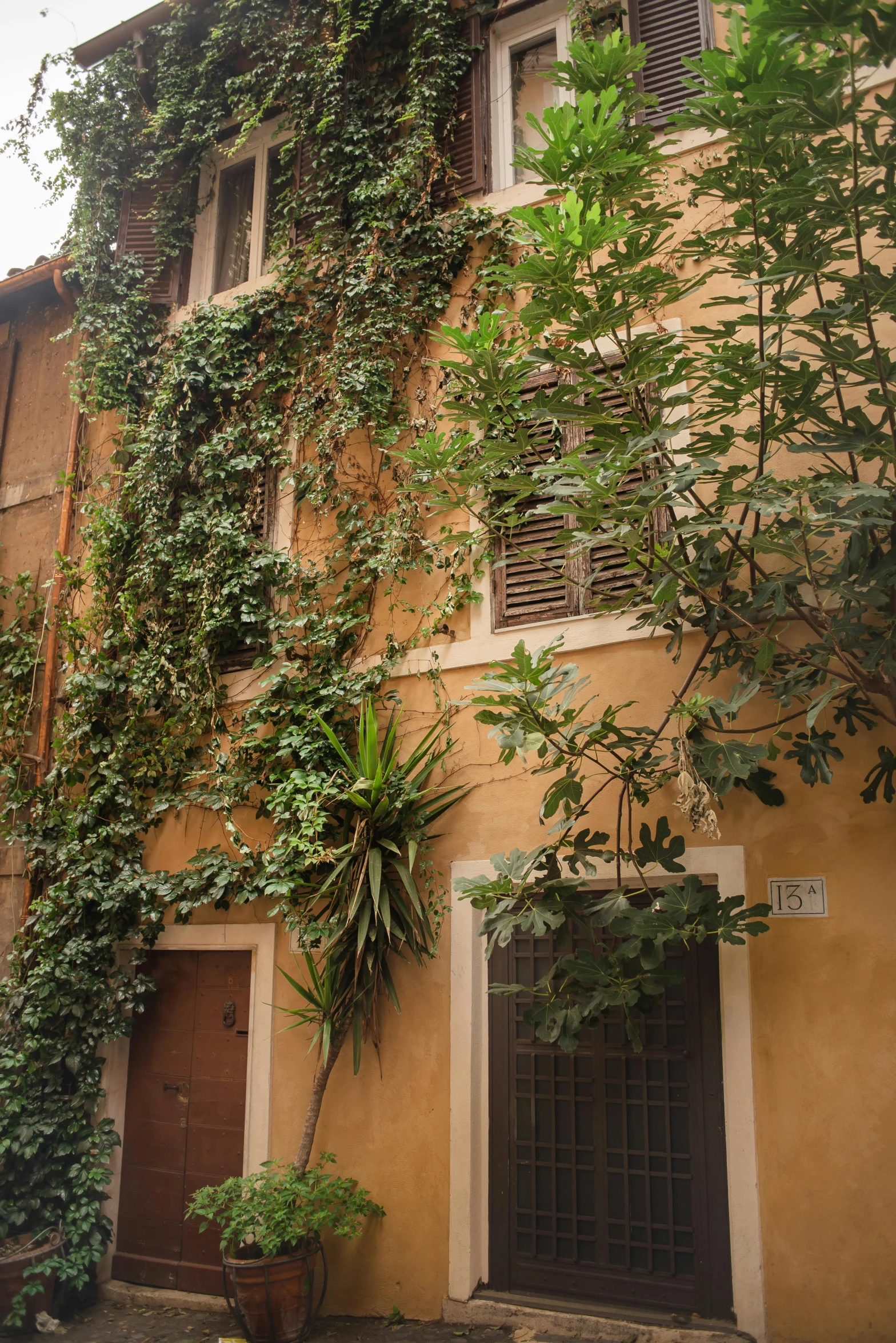 a building with plants growing on the side of it, inspired by Pietro da Cortona, shady alleys, rome, fan favorite, lush gnarly plants