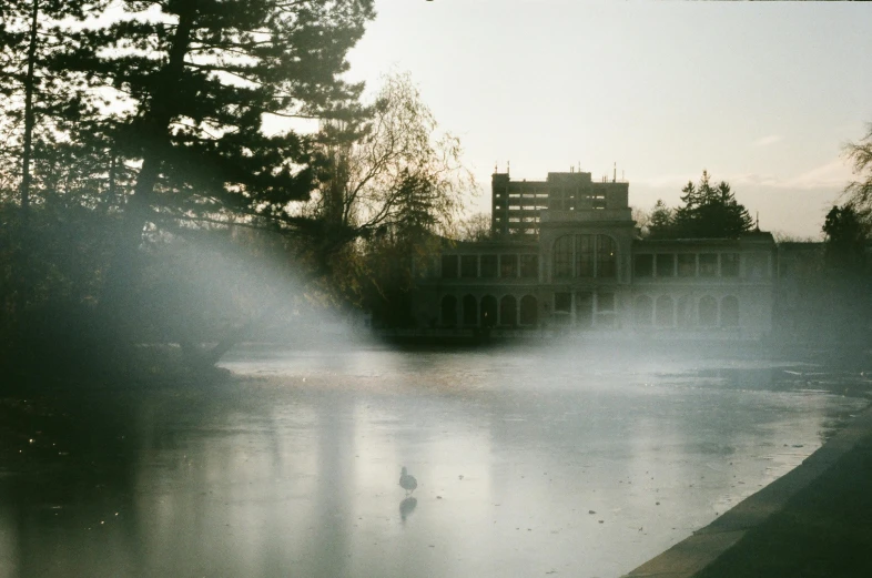 a bird that is standing in the water, a polaroid photo, unsplash, tonalism, a crystal palace, ((mist)), in a city park, government archive photograph