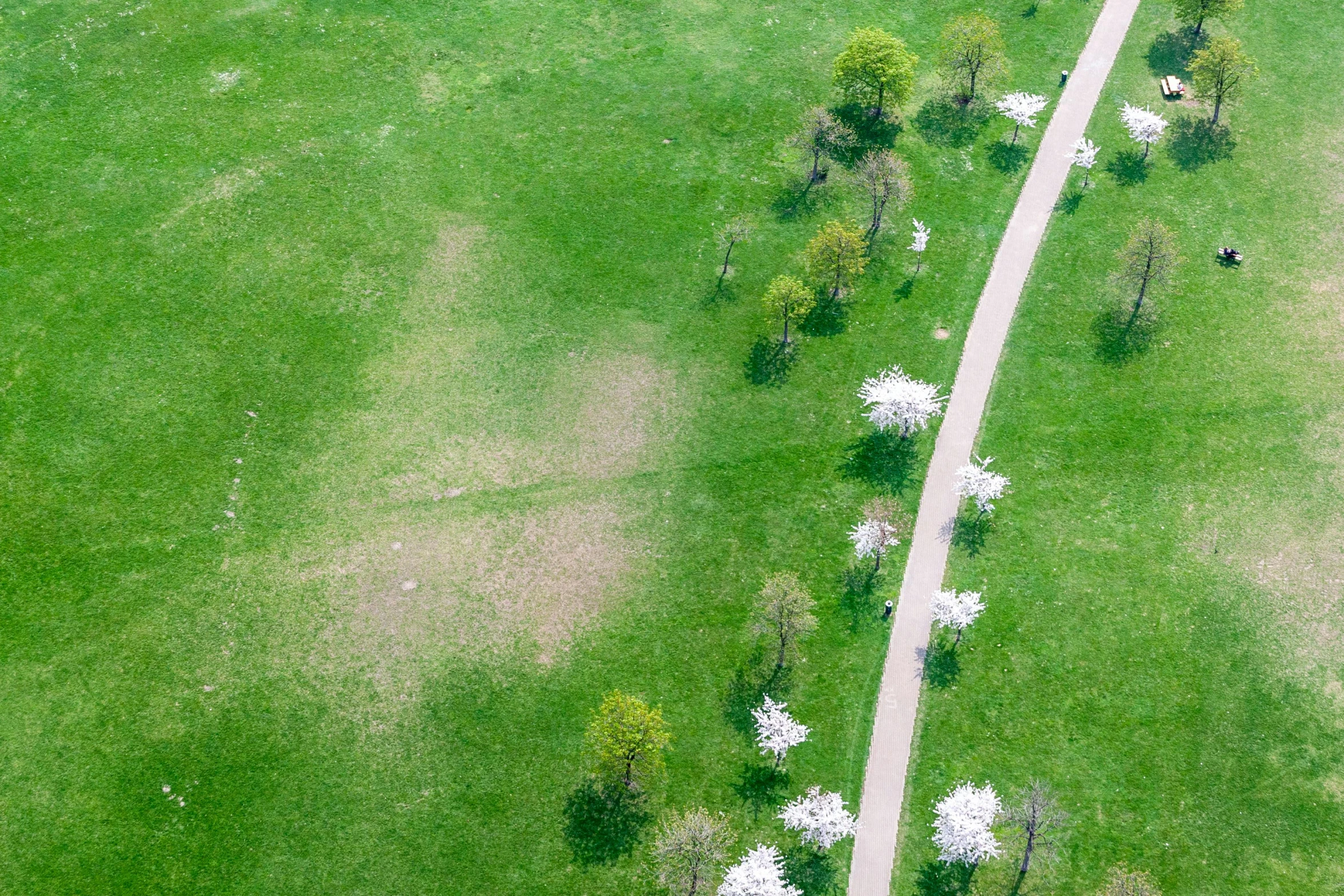 an aerial view of a road running through a lush green field, an album cover, pexels contest winner, land art, in a city park, biroremediation, sparse bare trees, 1 6 9 5