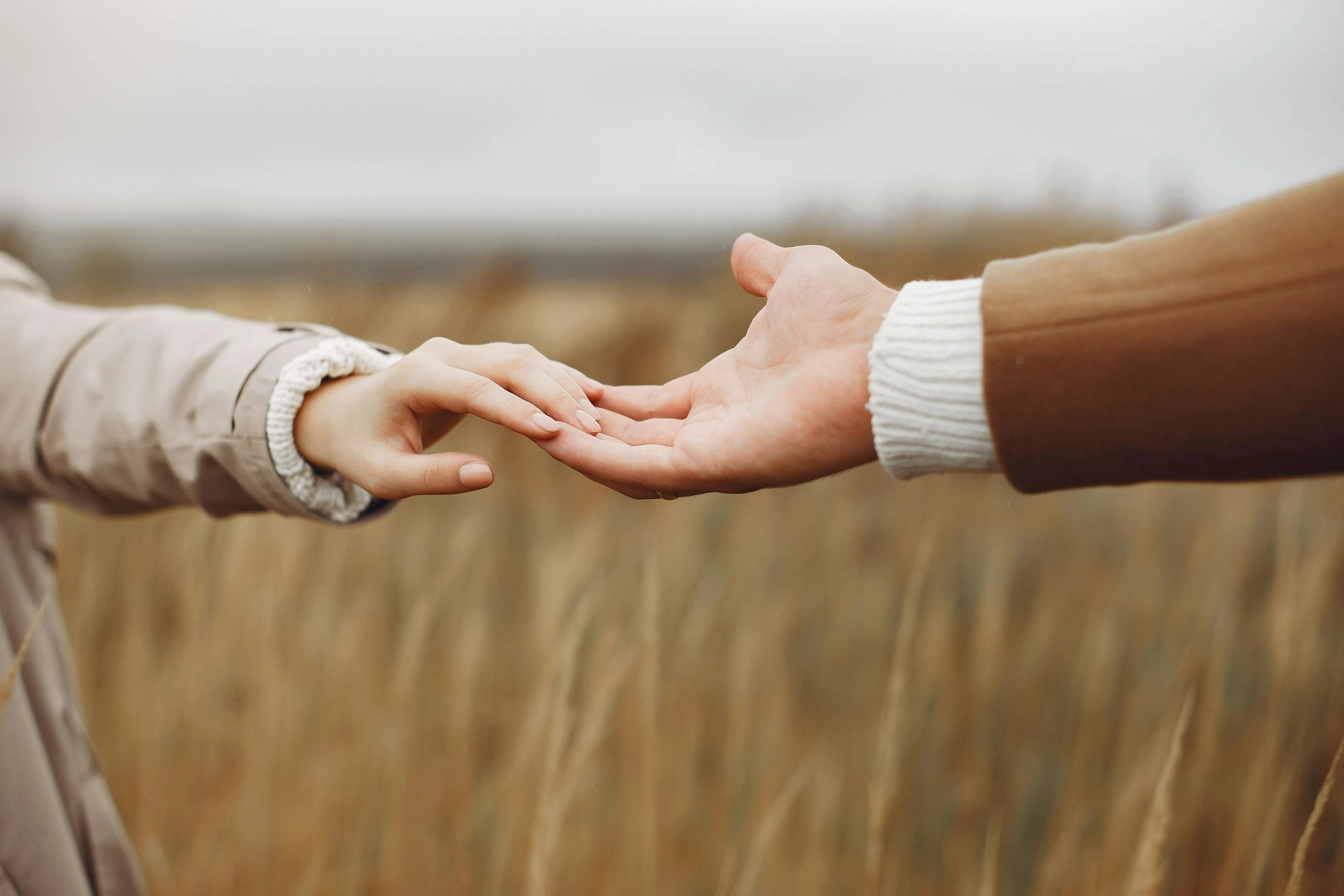 a couple holding hands in a field of tall grass, by Emma Andijewska, unsplash, autumnal, 15081959 21121991 01012000 4k, instagram post, plain background