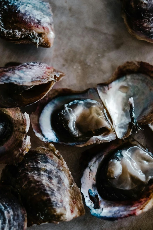 a bunch of oysters sitting on top of a table, a portrait, trending on pexels, new zeeland, thumbnail, black, subtle detailing