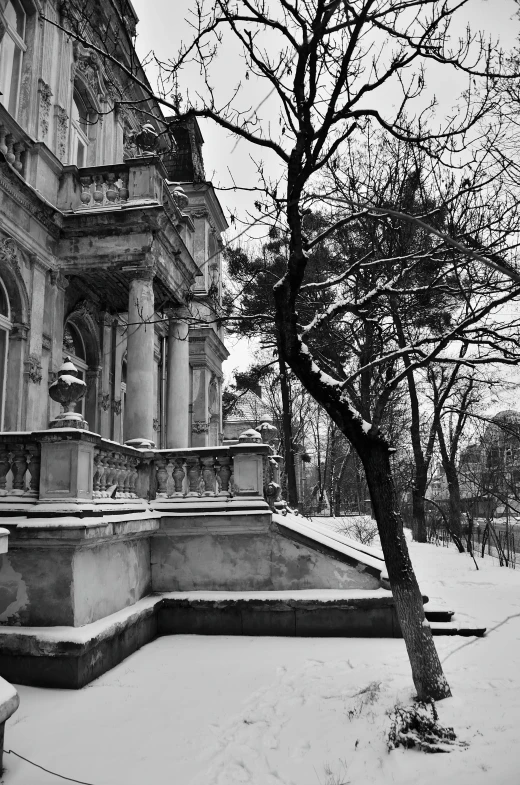 a black and white photo of a tree in front of a building, a black and white photo, inspired by Vasily Polenov, rococo, marble!! (eos 5ds r, cold snowy, vaporwave mansion, porches
