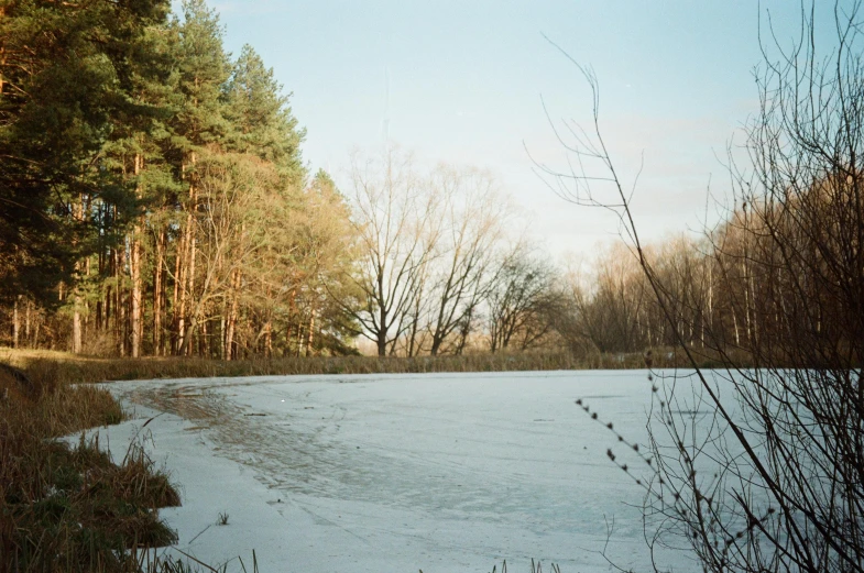 a snow covered field with trees in the background, inspired by Elsa Bleda, unsplash, land art, medium format. soft light, near pond, 2000s photo