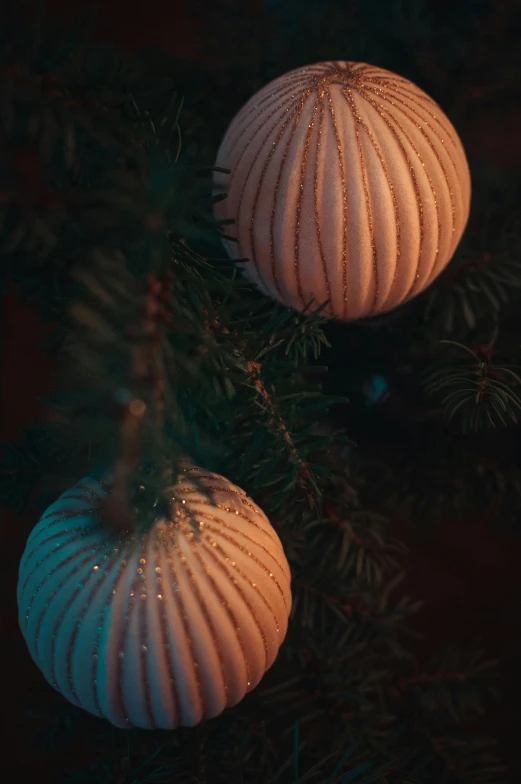 a close up of a christmas ornament on a tree, a pair of ribbed, porcelain organic, night mood, alessio albi