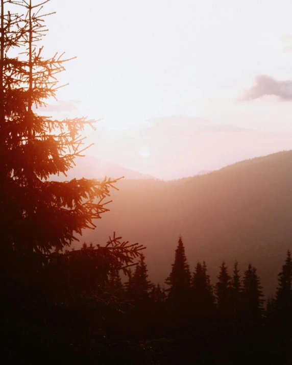 the sun is setting over a mountain range, by Emma Andijewska, unsplash contest winner, romanticism, fir forest, fading rainbow light, forestry, looking straight