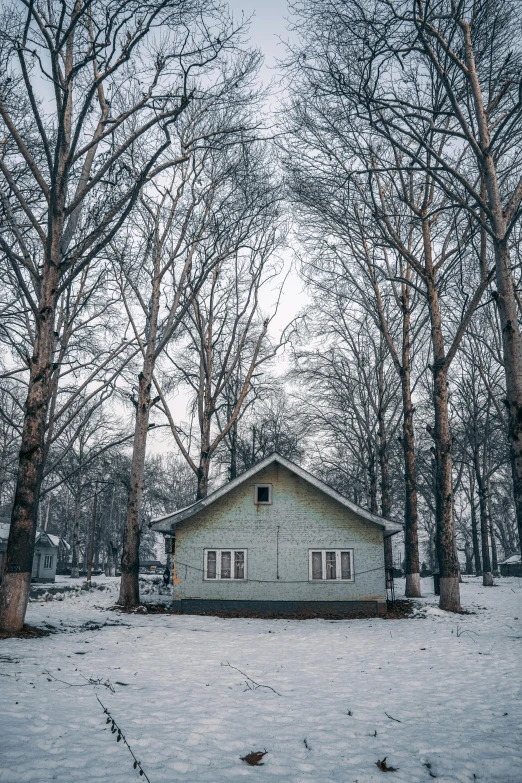 a small white house surrounded by trees in the snow, inspired by Elsa Bleda, unsplash contest winner, soviet town, today\'s featured photograph 4k, album, ultra wide