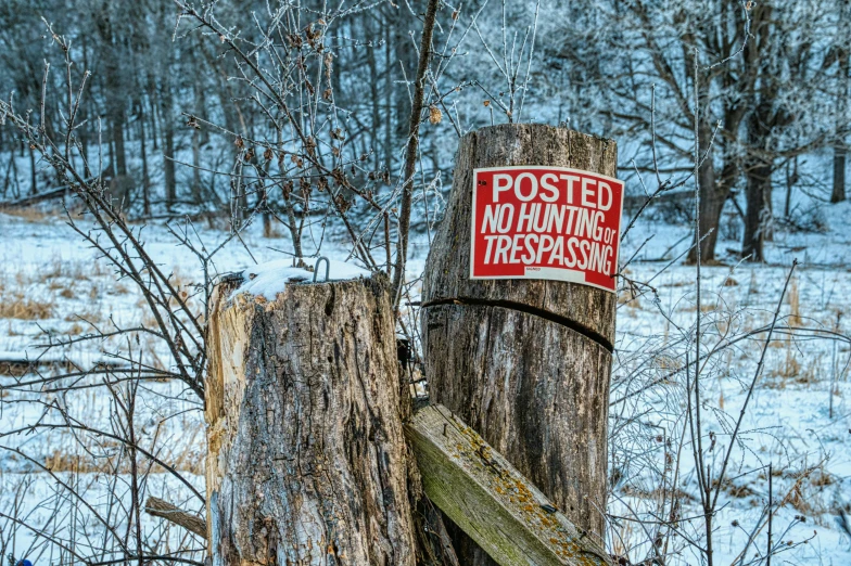a wooden post with a sign attached to it, by Arnie Swekel, pexels, winter photograph, hunt, no cropping, insane intricate