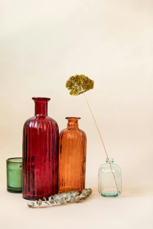 a group of vases sitting next to each other on a table, color field, colorful bottles and plants, amber, viridian and venetian red, apothecary