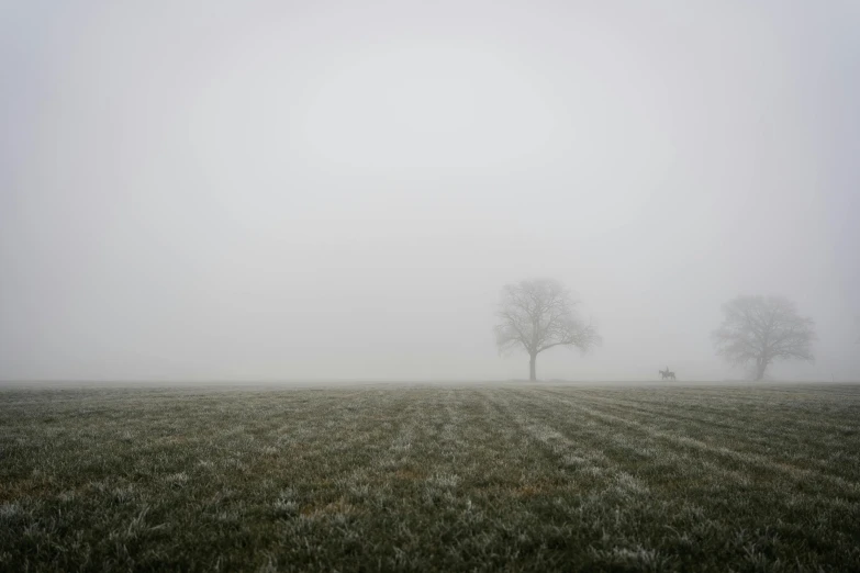 a foggy field with three trees in the distance, pexels contest winner, postminimalism, sleet, grey, grass field, barely visible