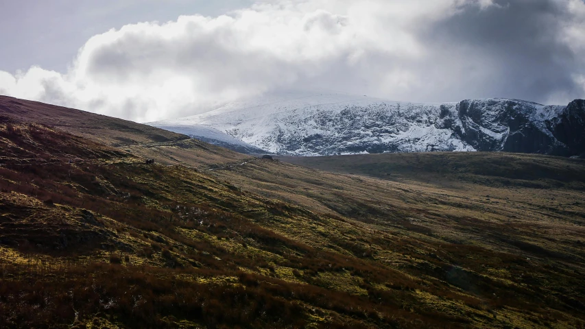 a group of sheep standing on top of a lush green hillside, by Peter Churcher, unsplash contest winner, hurufiyya, with a snowy mountain and ice, moorland, thumbnail, dark mountains