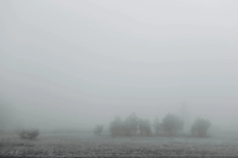 a black and white photo of a foggy field, pexels, pale blue fog, winter photograph, green fog, fog volumes