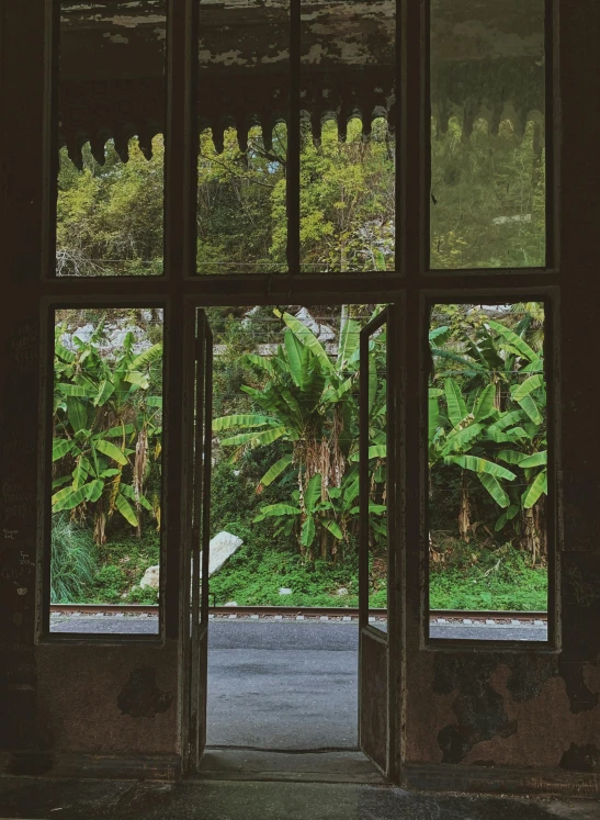 an open window with a view of a garden, an album cover, inspired by Elsa Bleda, pexels contest winner, malaysia jungle, abandoned warehouse, banana trees, promo image