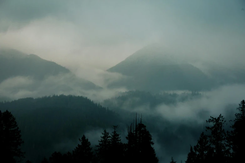 a forest filled with lots of trees under a cloudy sky, an album cover, inspired by Elsa Bleda, pexels contest winner, mist in valley, ominous! landscape of north bend, view, grey