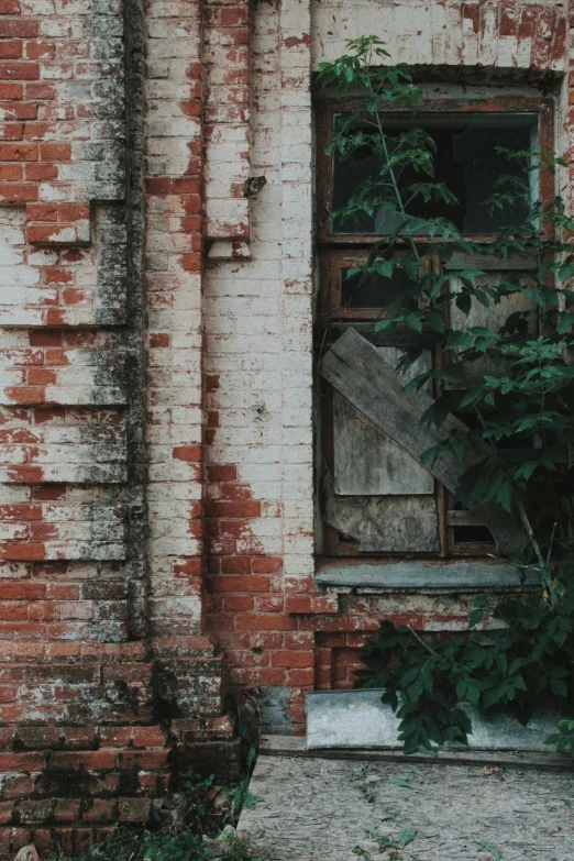 a red fire hydrant sitting in front of a brick building, pexels contest winner, australian tonalism, overgrown ruins, windows and walls :5, brick wall texture, a photograph of a rusty