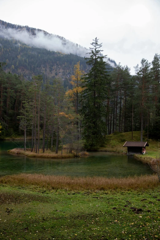 a small cabin sitting on top of a lush green field, by Otto Meyer-Amden, unsplash, overcast lake, autum, square, pine