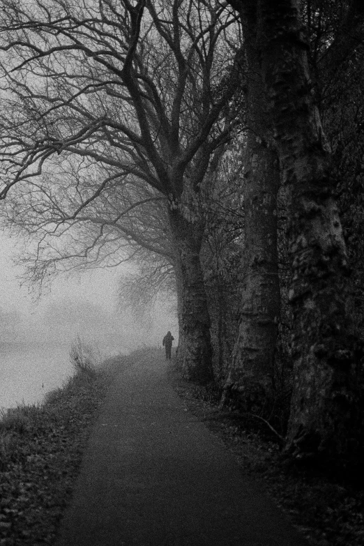 a person walking down a path next to a body of water, inspired by Brassaï, flickr, foggy!, ((trees)), lonely rider, canal