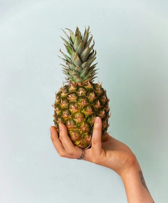 a person holding a pineapple in their hand, an album cover, inspired by Elsa Bleda, trending on unsplash, hyperrealism, ultra hi resolution picture, no cropping, triumphant pose, extra fleshy hands