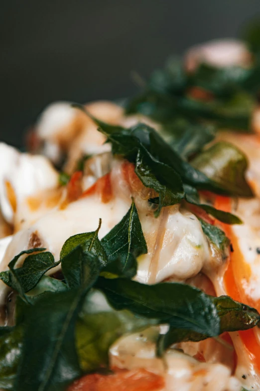 a close up of a plate of food on a table, basil, profile image, fins, mozzarella