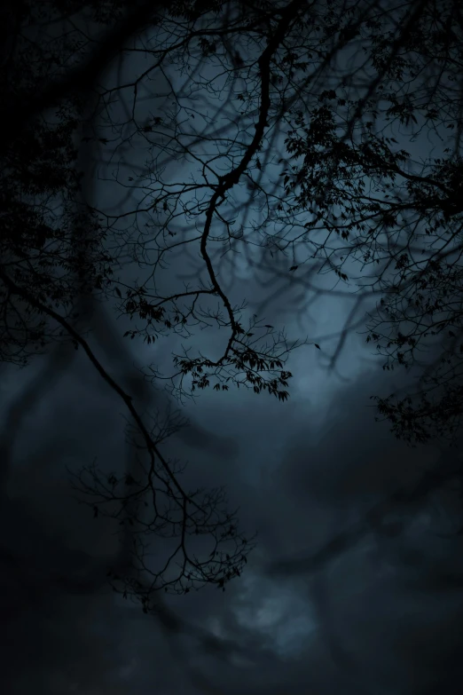 a full moon is seen through the branches of a tree, an album cover, unsplash contest winner, baroque, scary dark forest, background ( dark _ smokiness ), atmospheric ”, unsplash photo contest winner