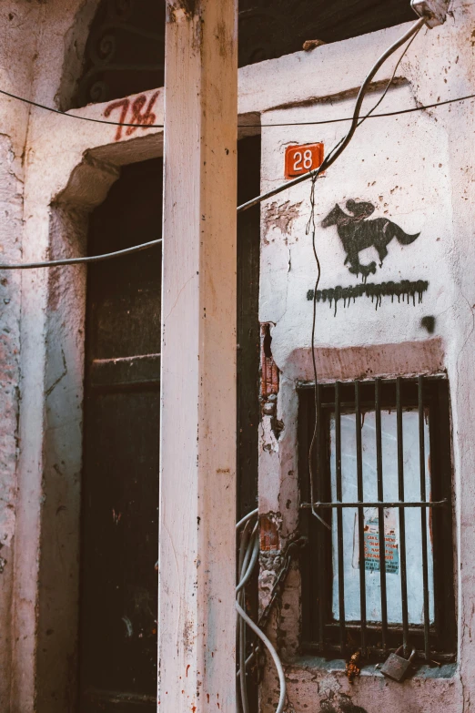 a building that has some graffiti on it, a silk screen, inspired by Banksy, trending on pexels, graffiti, on an indian street, an ox, doorway, a 35mm photo