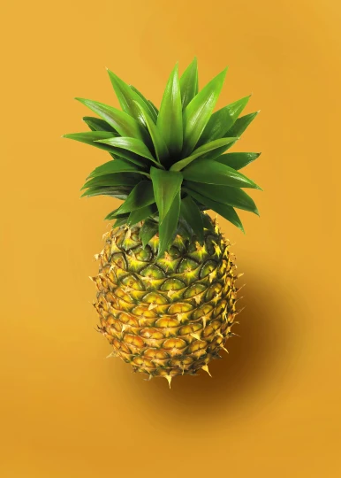 a pineapple on a yellow background, vibrantly lush, 6 pack, profile image, highly upvoted
