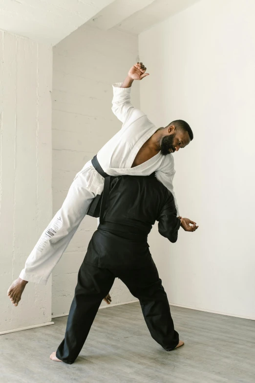 a couple of men standing on top of each other, inspired by Kanō Hōgai, unsplash, arabesque, karate outfit, black man, mechanics, mid - action