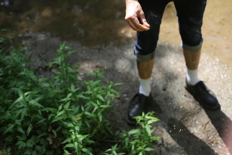a close up of a person holding a frisbee, by Jacob de Heusch, river with low hanging plants, gray shorts and black socks, smoking weed, plant sap