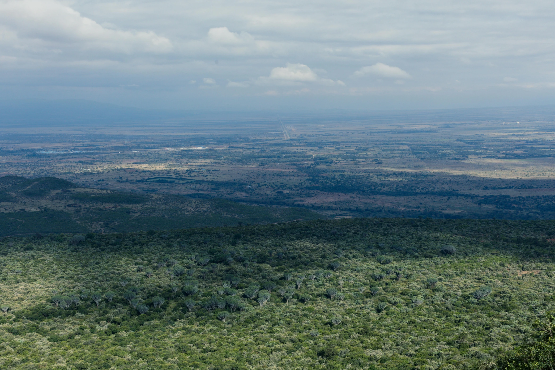 a view of the jungle from the top of a mountain, by Peter Churcher, pexels contest winner, hurufiyya, masai, panels, high quality image”, sparse vegetation