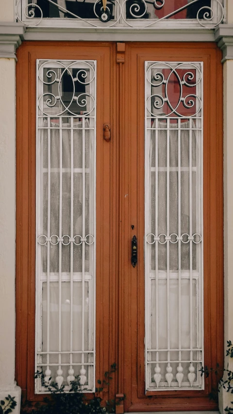 a red fire hydrant sitting in front of a wooden door, inspired by Dionisio Baixeras Verdaguer, art nouveau, steel window mullions, paul barson, a pair of ribbed, turkey