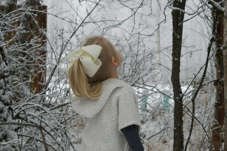 a little girl that is standing in the snow, inspired by Elsa Beskow, pexels contest winner, hair bow, silver，ivory, rectangle, white