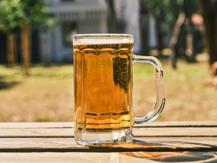 a glass of beer sitting on top of a wooden table, pexels, photorealism, in sunny weather, holding a tankard of ale, thumbnail, ground view shot