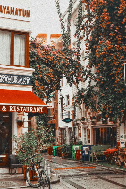 a bicycle is parked in front of a restaurant, a colorized photo, pexels contest winner, awnings, orange tones, lush trees and flowers, photograph of san francisco