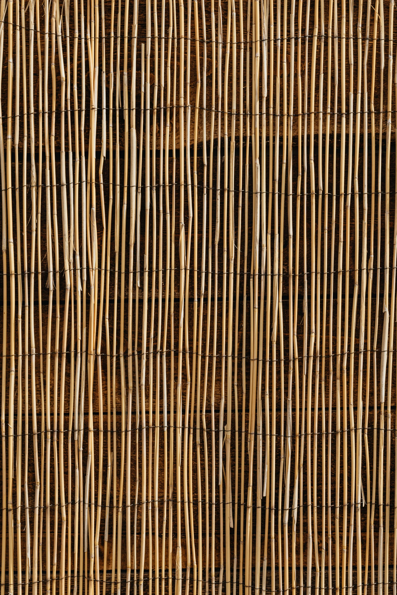 a close up view of a bamboo fence, by Andreas Gursky, flickr, seamless micro detail, zulu, modern rustic”, cardboard